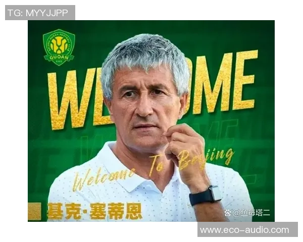 湖北足球三大球星崛起背后的故事与成就解析